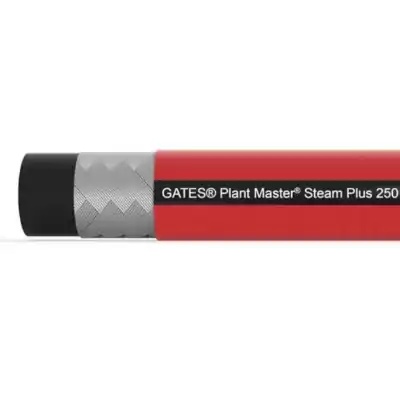 Plant Master Steam Plus 250 - 232MB Steam Queen ~ 3/8 pulg - 50