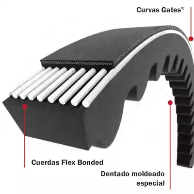Super HC Dentada Moldeada ~ 3/8 x 40 pulg