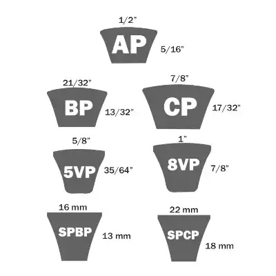 Predator ~ AP - 1/2 x 33 pulg