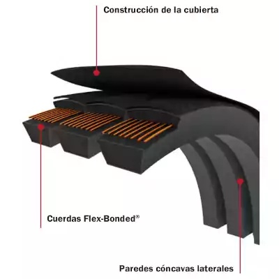 Hi Power II PowerBand ~ 2/A42 - 2 bandas unidas de 1/2 x 44 pulg